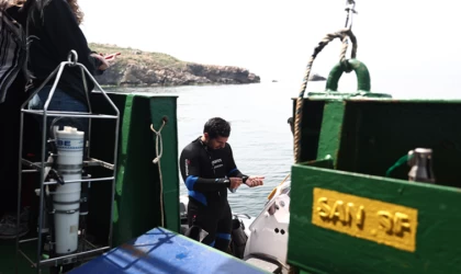 Müsilaj sonrası Tavşan Adası'nın deniz canlıları takip edilecek