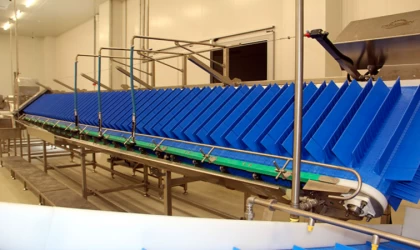 Sinop'ta 10,5 milyon avroluk yatırımla balık işleme ve paketleme tesisi kuruldu