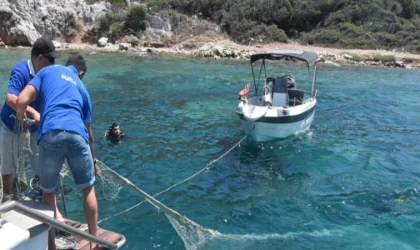 Bodrum'da dalgıçlar deniz dibinde ağ temizliği yaptı