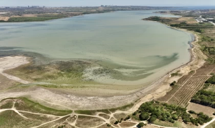 Büyükçekmece Gölü'nde kurumanın başladığı gözlendi
