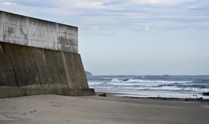 Güney Kore, gıda güvenliği nedeniyle Fukuşima'dan deniz ürünü ithalatını yasaklayacak