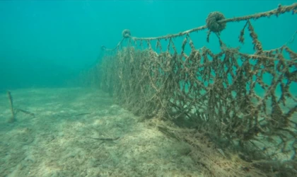 Hayalet ağların endemik deniz canlılarına verdiği zarar akademik çalışmayla ortaya çıktı