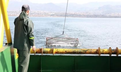 İzmit Körfezi'ndeki dip çamuru temizliğinin katkıları biyoçeşitliliğin belirlenmesiyle görülecek