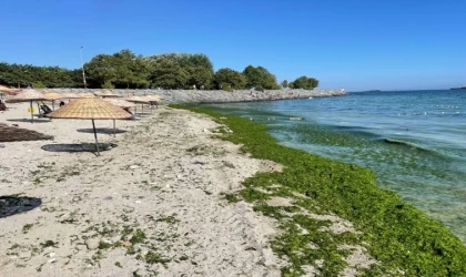 Avcılar'daki plajda artan kirliliğe vatandaşlar çözüm bekliyor