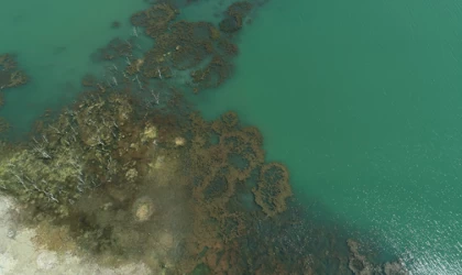 Tekirdağ'daki Yazır Barajı'nın su seviyesi kuraklık nedeniyle yüzde 15'e düştü