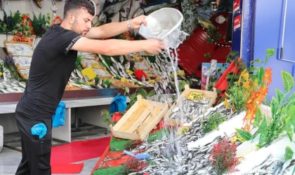 Denizlerde av yasağının sona ermesiyle balıkçı tezgahları hareketlendi