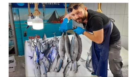 Sinop'ta balıkçıların ağlarına torik takıldı
