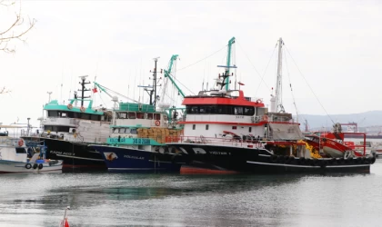 Hamsi bolluğunu duyan balıkçı av için Tekirdağ'a geliyor