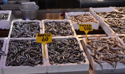 Trabzon'da balıkçı tezgahlarında hamsi bolluğu