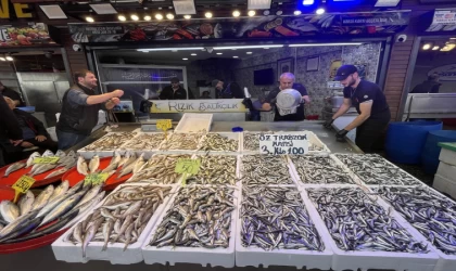 Trabzon'da hamsinin 3 kilogramı 100 liradan satılıyor