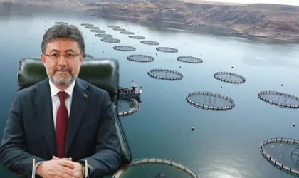 Türkiye istiridye yetiştiriciliğine hazırlanıyor