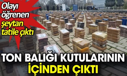 Dondurulmuş ton balığı kutularında yaklaşık 11 ton kokain ele geçirildi
