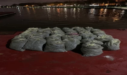İstanbul'da yasak bölgede midye avcılığı yapan 3 şüpheliye para cezası verildi