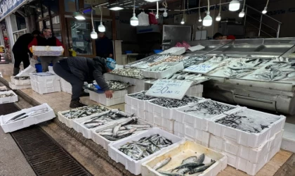Karadeniz'de deniz suyu sıcaklığı düştü avcılık arttı