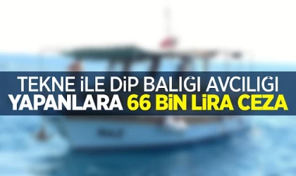Samsun'da yasa dışı avcılık yapan 4 kişiye 66 bin 575 lira ceza uygulandı