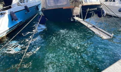 Marmara Denizi'nde denizanası artışı balıkçılığı tehdit ediyor