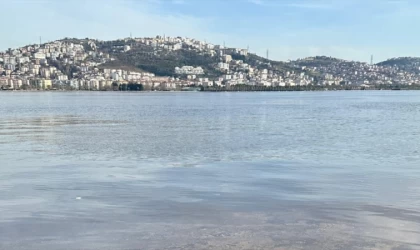 İzmit Körfezi'ndeki renk değişiminin alg çoğalmasından kaynaklandığı belirlendi