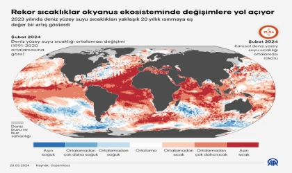 Rekor sıcaklıklar okyanus ekosisteminde değişimlere yol açıyor