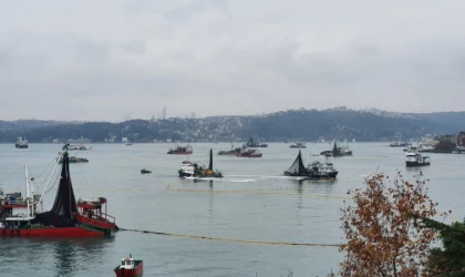 Balıkçılık Av Sezonu 15 Nisan'da Kapandı