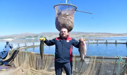Denizi olmayan Kayseri'de Türk somonu hasadı başladı