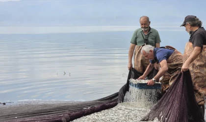 İznik Gölü'nde gümüş balığının ihracat yolculuğu başladı