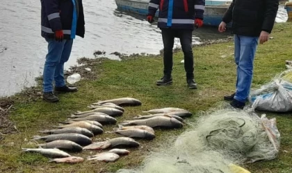 Kırklareli'nde kaçak avcılıkla mücadele çalışmaları sürüyor