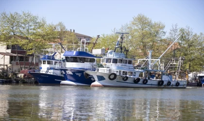 Sakarya, Zonguldak ve Kocaeli'de balıkçılar, av yasağının başlamasıyla limanlara demirledi