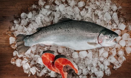 Türk somonu ihracatında hedef, pazar çeşitliliğini artırmak