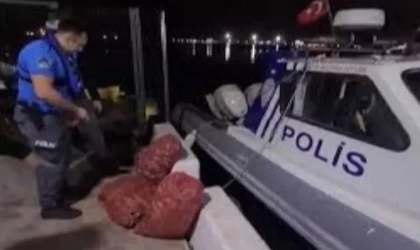 Samsun'da kaçak salyangoz avcılığı yapan kişiye 66 bin 114 lira ceza kesildi