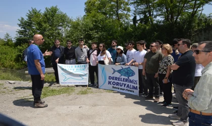 Sapanca Havzası'nda akarsularda ekolojik sürekliliğin yeniden oluşturulmasına yönelik proje başlatıldı