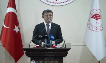 Ticari balıkçılığın yeni yol haritası belirleniyor