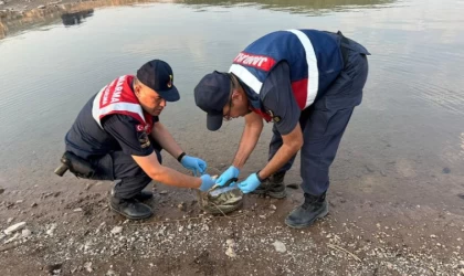 Denizli'de boy limiti altında balık avlayanlara ceza