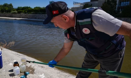 Balık ölümlerinin görüldüğü İzmir Körfezi'nde yoğun denetim