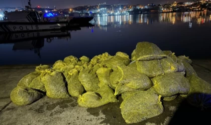 Beyoğlu'nda 2 ton kaçak midye ele geçirildi