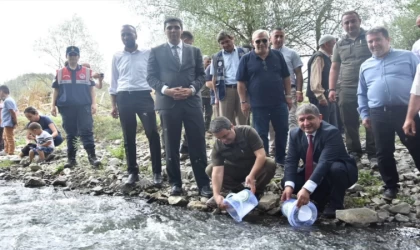 Kastamonu'da 7 bin kırmızı benekli alabalık yavrusu Devrekani Çayı'na bırakıldı