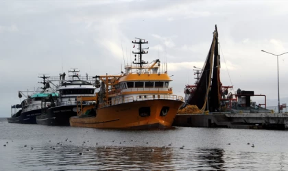Su ürünleri avcılığındaki sınırlama ve kurallar yeniden düzenlendi