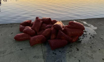 Üsküdar'da 1 ton kaçak midye ele geçirildi