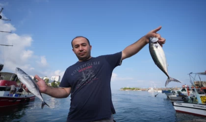 Akçakoca Limanı'na balıkçılar bol miktarda palamutla döndü