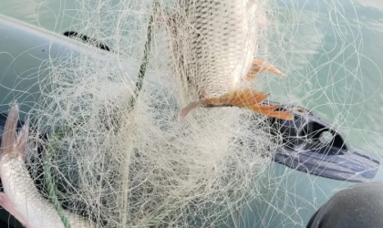 Kastamonu'da kaçak avcıların suya bıraktığı 5 bin metre uzunluğunda ağ ele geçirildi