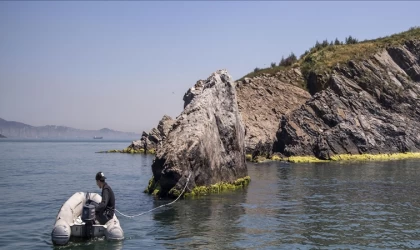 Marmara Denizi ve Adalar Özel Çevre Koruma Bölgesinin sınırları yeniden belirlendi