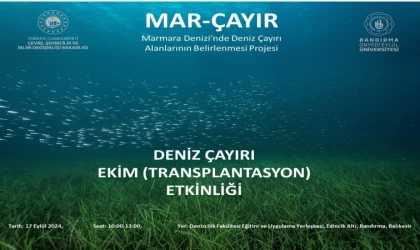 Marmara'da Deniz Çayırı Ekimi Etkinliği Başlıyor