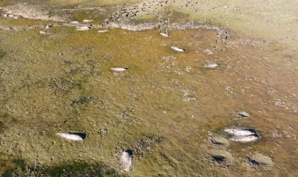 İzmir'de Gölcük Gölü'ndeki balık ölümleri sürüyor