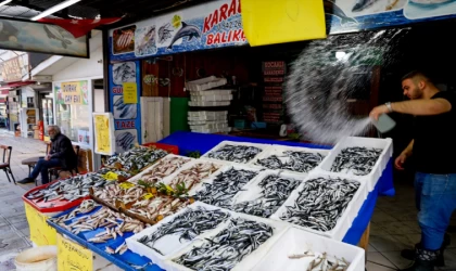 Sakarya'da balıkçılar, Karadeniz'den bol miktarda barbun ve istavritle döndü