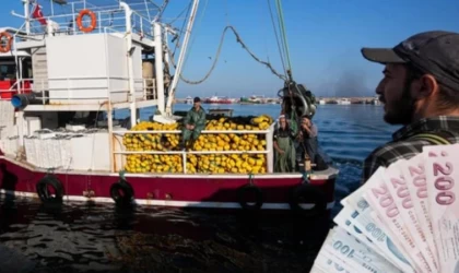 'Futbolcu gibi transfer oluyorlar' 80 bin TL'ye dönüp bakmıyorlar