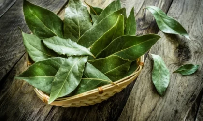 Balığın Lezzet Armonisi | Defne Yaprağı