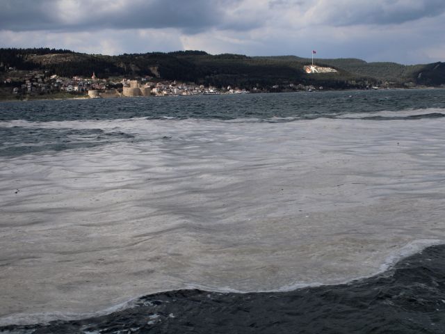 Denizi kaplayan 'müsilaj', balıkçının kabusu oldu