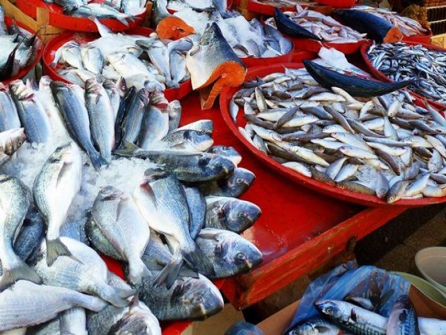 Balık Alırken Bunlara Dikkat! Taze Balık Nasıl Anlaşılır?