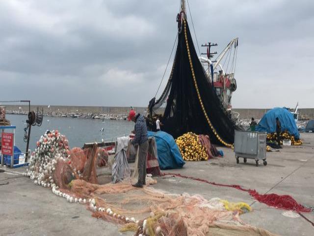 Zonguldak'ta Balıkçıların Umudu Mezgit ve Çinekop