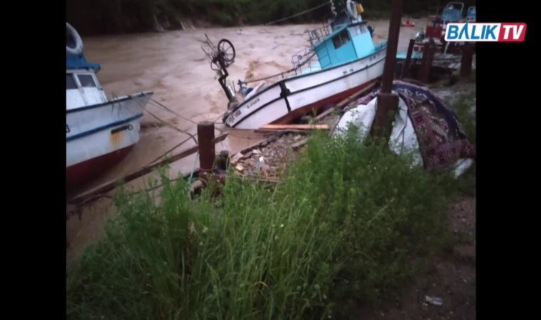 Sinop'ta sel felaketi sonucu 3 balıkçı teknesi alabora oldu - Balık TV #sinop #balıkçı #sel
