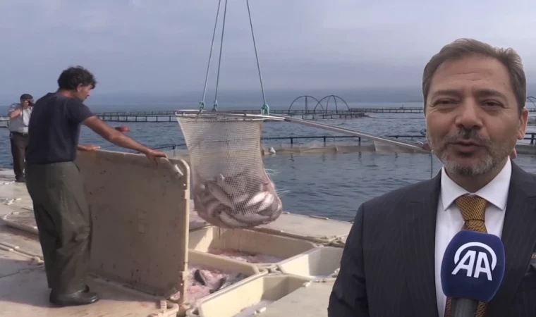 Karadeniz Türk somonunun üretim üssü oldu | Balık TV #balıktv
